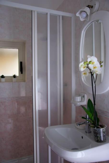 Apartment U Curtigghiu